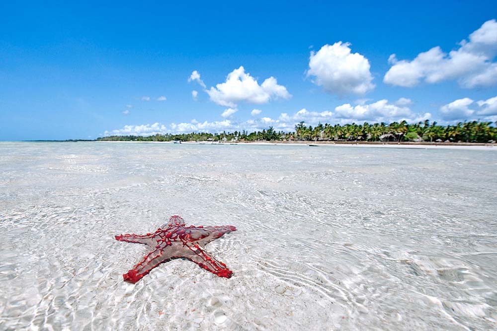 Una spiaggia che non si dimentica… Isola dell'amore Watamu Kekya