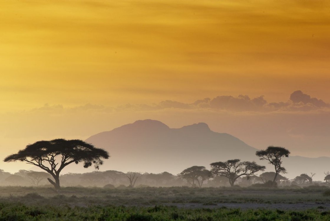 Masai Mara