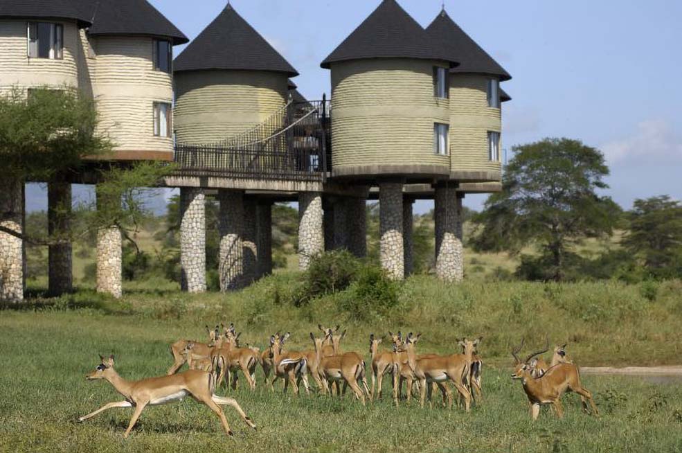 Taita Hills Wildlife Sanctuary