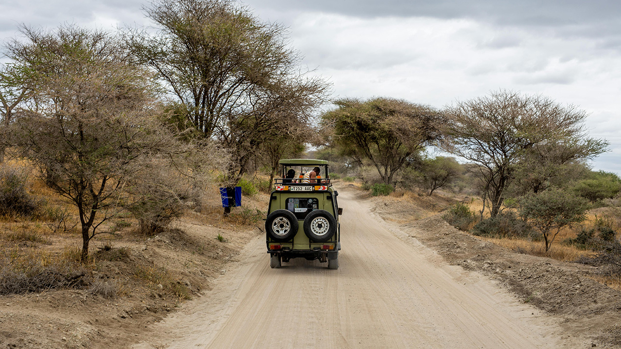 Safari 2 giorni - Tsavo Est